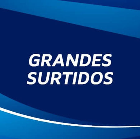 Imagen para la categoría GRANDES SURTIDOS